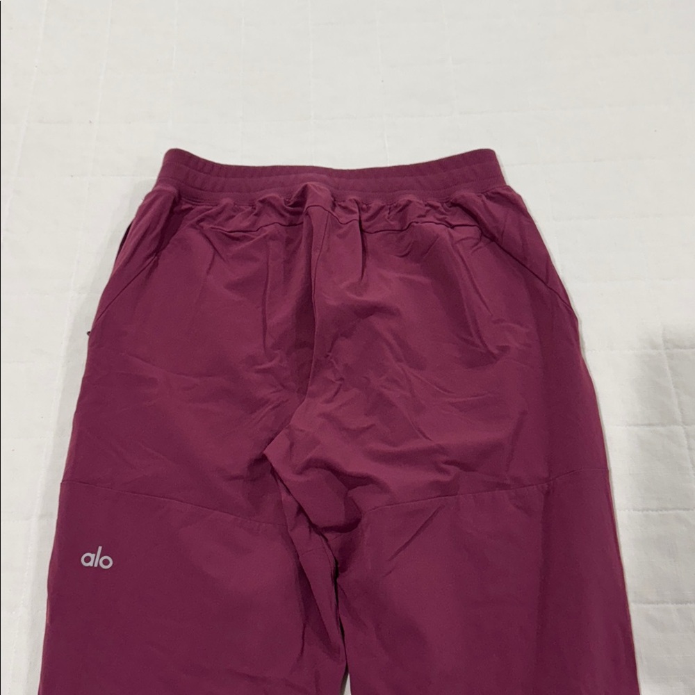 Alo Joggers - Picture 8 of 13